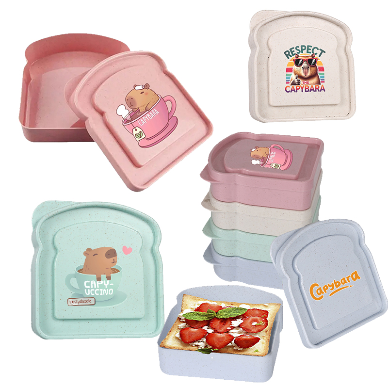 Capybara Sandwich Food Storage - đánh giá và giá Salad Container Jar