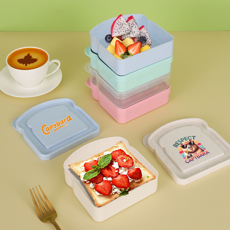 Capybara Sandwich Food Storage - đánh giá và giá Salad Container Jar